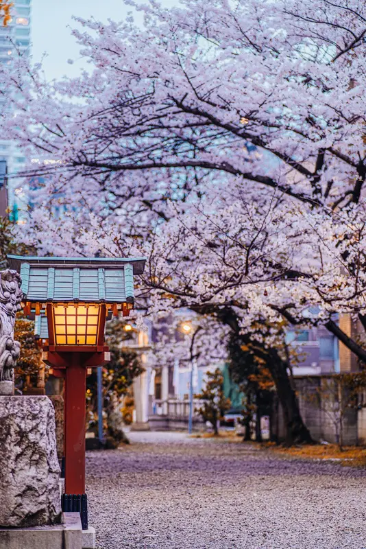 Nicholas.Tokyo Premium Domain